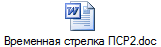 Временная стрелка ПСР2.doc