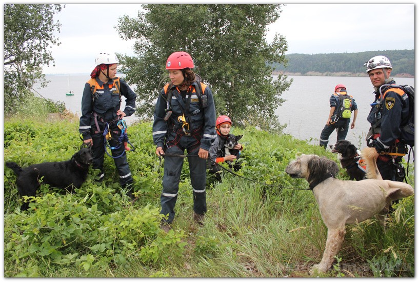 Поисковая служба МЧС В лесу. Собаки в поисково спасательных отрядах. Спасатели в лесу