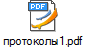 протоколы1.pdf