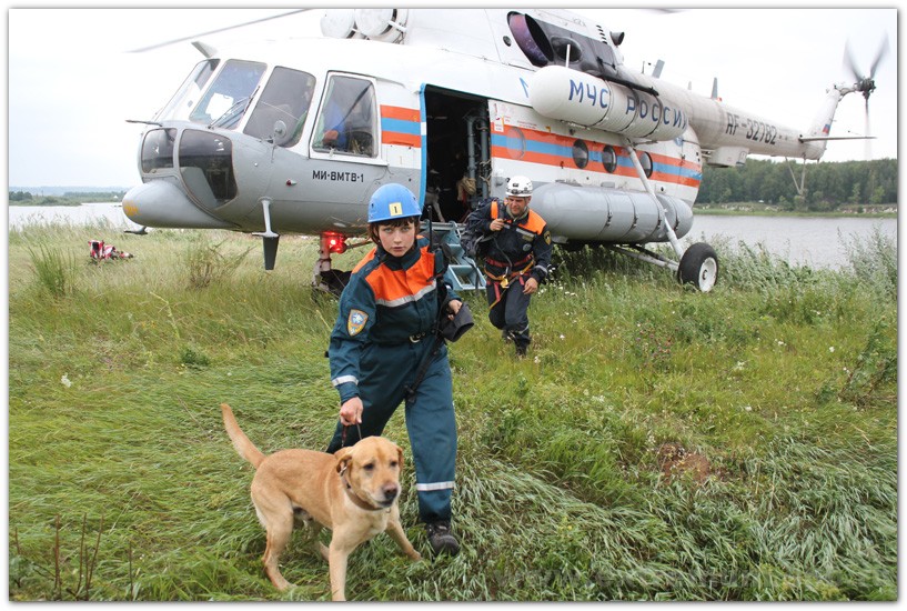 Поисково спасательная служба мчс россии. МЧС поисково спасательная служба. Поисково спасательные собаки. Поисково-спасательная служба собак.