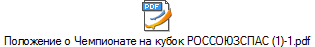 Положение о Чемпионате на кубок РОССОЮЗСПАС (1)-1.pdf