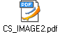 CS_IMAGE2.pdf